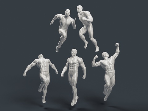  男人体 模特 健美 健身3d模型 