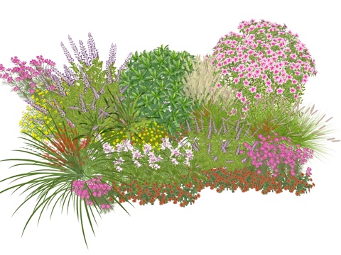  现代室内植物堆景观组合su模型 