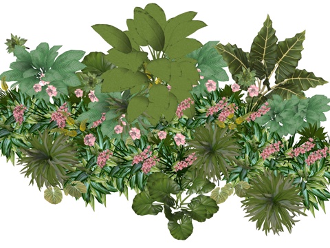  现代室内植物堆景观组合su模型 