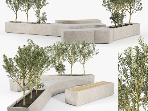  BOX PLANTER Olea europaea 023d模型 