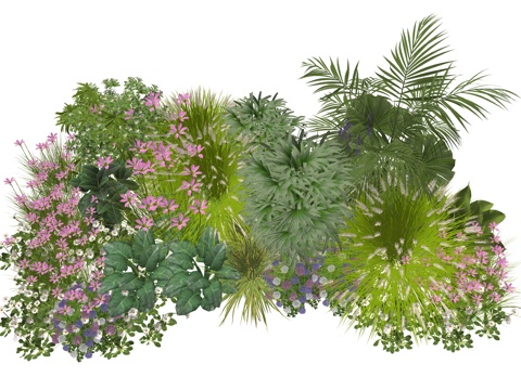  现代室内植物堆景观组合su模型 