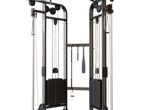  Lifefitness Signature Series 双3d模型 