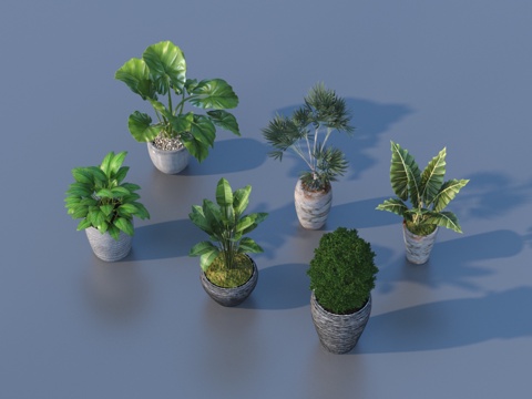  花盆 盆栽 绿植 植物3d模型 