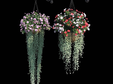  植物组合 No. 2（凤仙花 + 锦水草）3d模型 