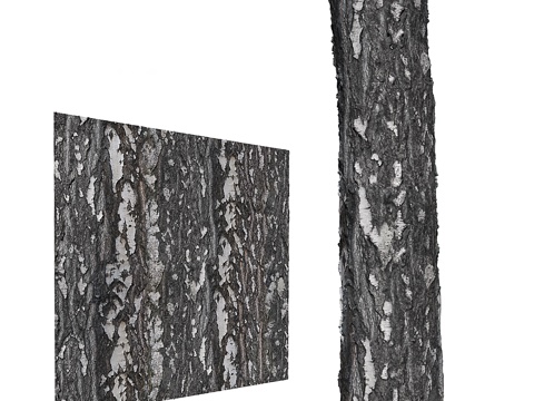  桦树树皮3d模型 