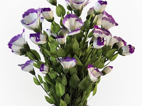  满天星（桔梗花）3d模型 