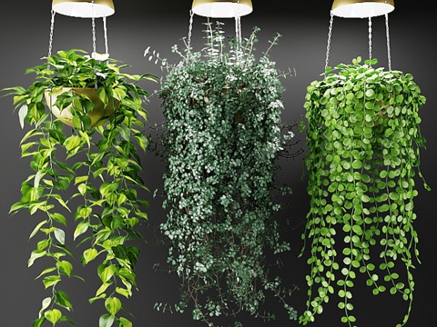  带灯饰的吊篮植物3d模型 