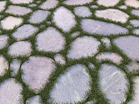  花园地面3d模型 