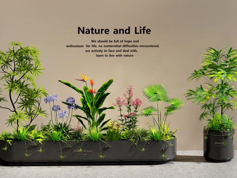  植物堆   花箱花池  盆栽    室内景观  庭院景观3d模型 