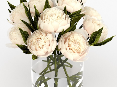  牡丹花束3d模型 