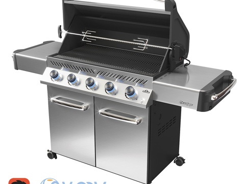  拿破仑尊贵6653d模型 