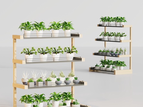 现代花架多肉植物摆件su模型