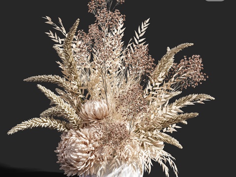  花卉04 干花3d模型 
