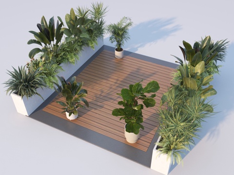  现代植物组合3d模型 