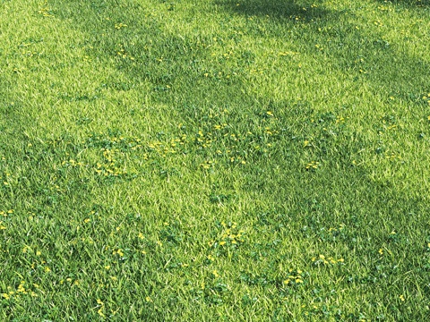  英格兰花园草坪3d模型 