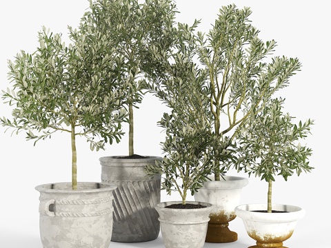  折衷别墅花盆3d模型 