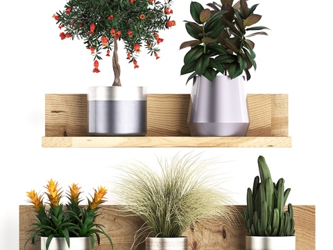  花卉木架上摆放的小型植物组合3d模型 