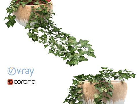  常春藤花盆3d模型 