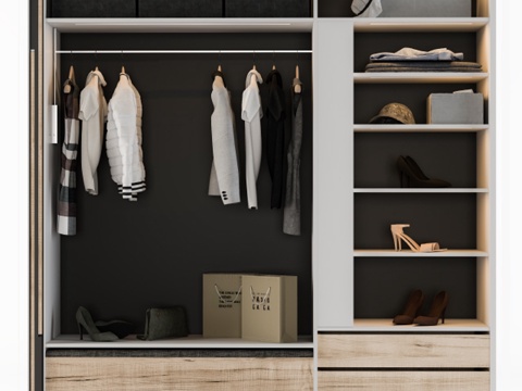  服装衣柜3d模型 