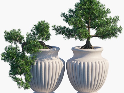  盆景系列 # 23d模型 
