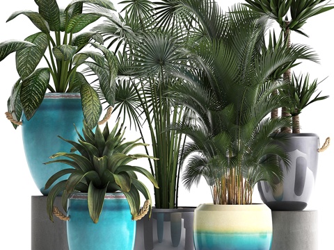  现代多色异域植物系列3d模型 