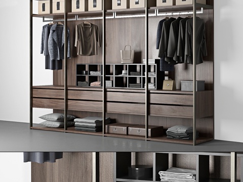  Poliform 衣橱3d模型 