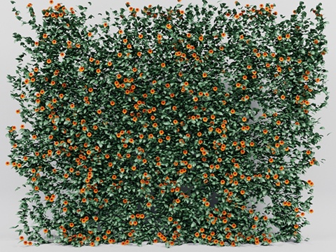  翅叶虎杖常春藤3d模型 