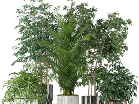  植物集锦 2043d模型 