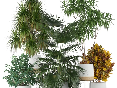  植物集锦 2033d模型 