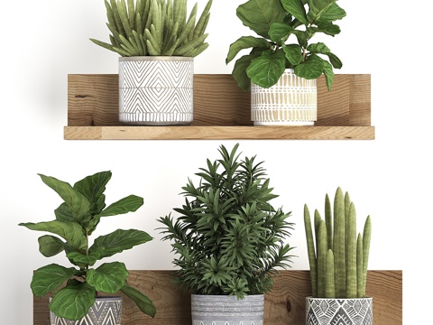  木架上花卉小型植物组合3d模型 