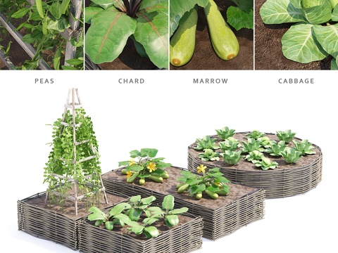  蔬菜园 厨房菜园.vol 33d模型 