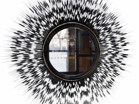  豪猪刺装饰壁镜3d模型 