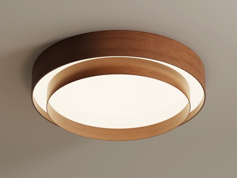 现代中古吸顶灯3d模型