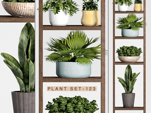  植物套装-1233d模型 