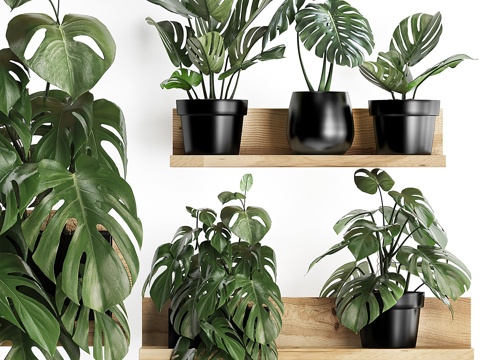  小型植物木质花架系列3d模型 