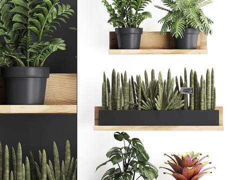  木架上花卉小型植物组合3d模型 