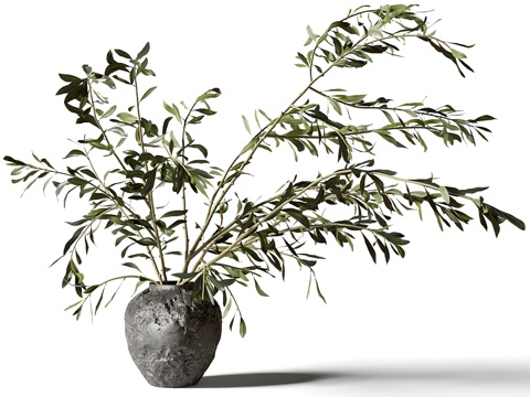  花瓶花卉3d模型 