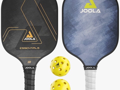  JOOLA基础款皮克球拍与球3d模型 
