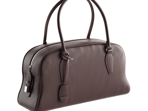  现代女士皮革手提包3d模型 