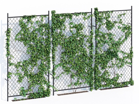  常春藤墙二3d模型 