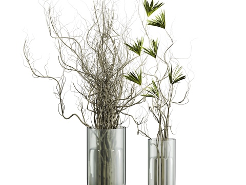  植物套装2483d模型 