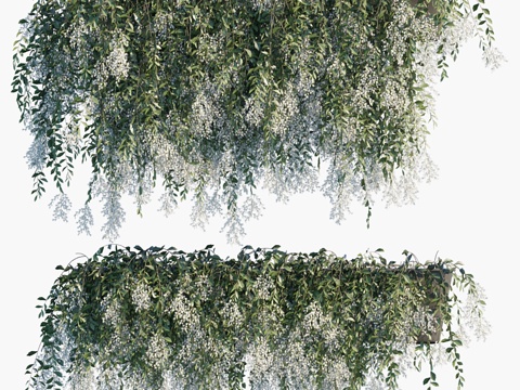  盆栽植物 #49 桔梗花3d模型 