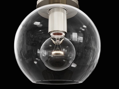  实用主义球形灯罩吸顶灯3d模型 