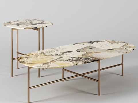  Tacchini设计的Soap茶几3d模型 