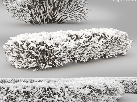  亮叶猬山楂。冬日绿篱 #13d模型 