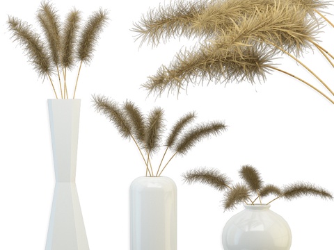  干花花束3d模型 