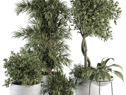  新中式绿植盆栽3d模型 