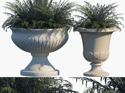  盆栽植物 #51 剑蕨3d模型 