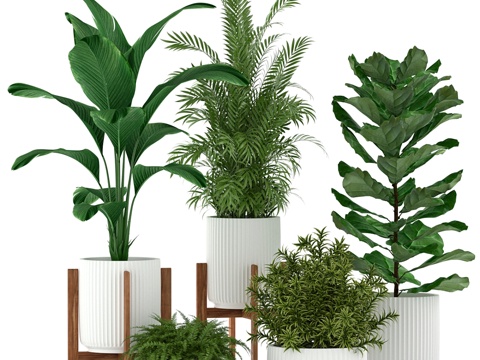  植物集锦 1943d模型 