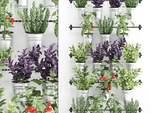  垂直园艺。33. 厨房菜园，蔬菜3d模型 